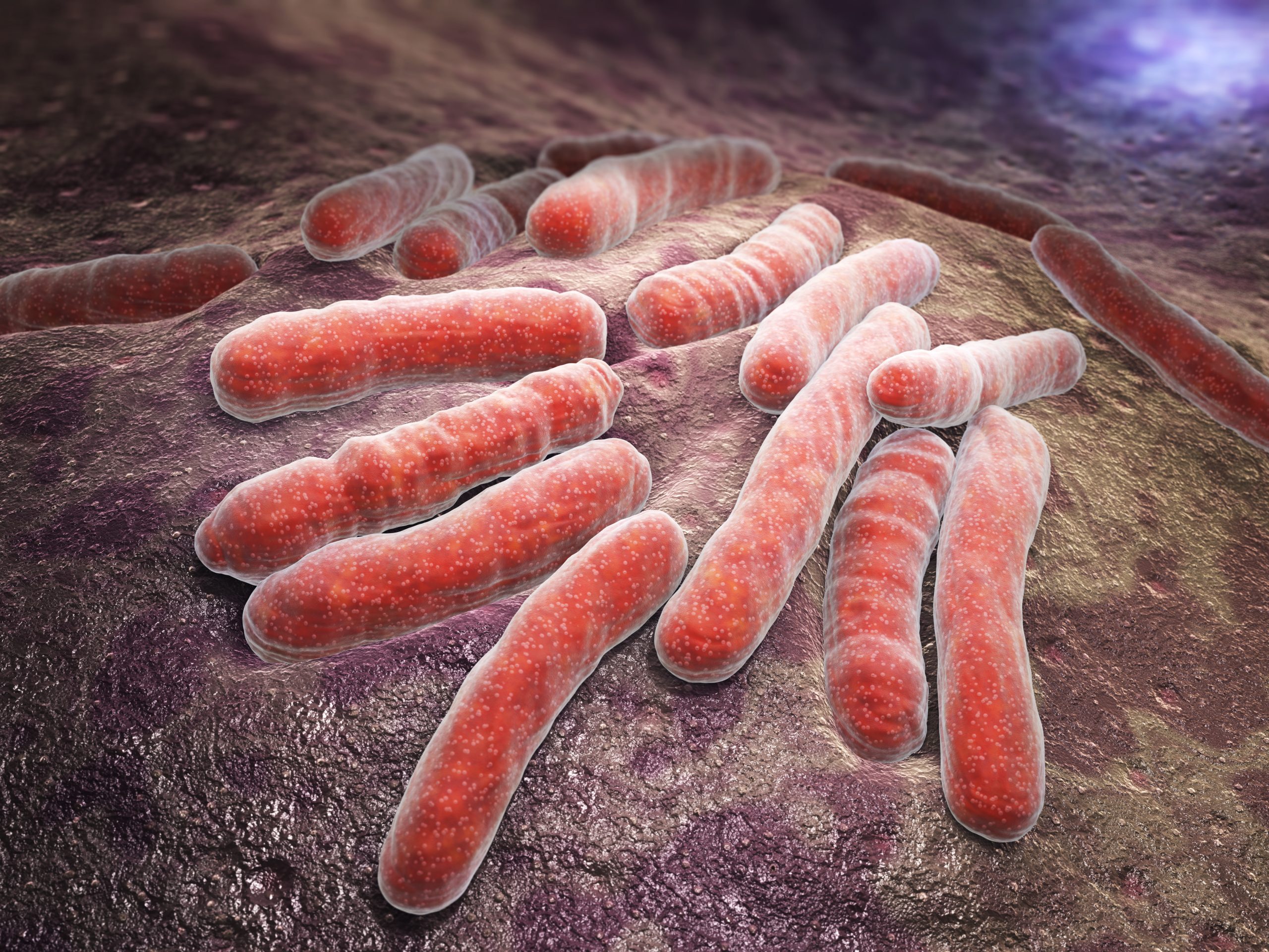 Indoor Air Quality - eliminate germs
